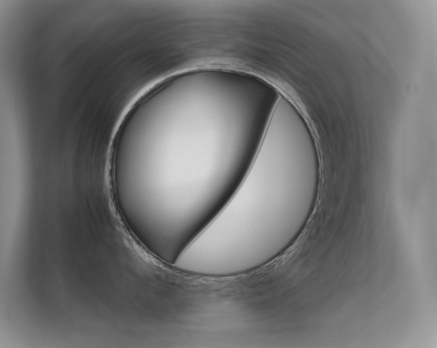 X0000112410912200908141023