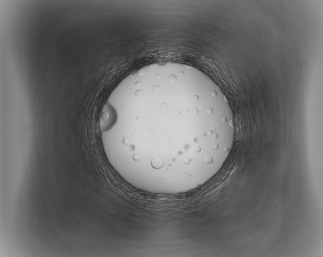 X0000112410913200908141022
