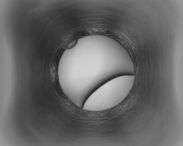 X0000112410915200908141022