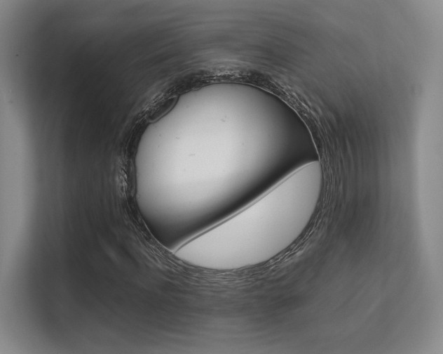 X0000112410916200908141022