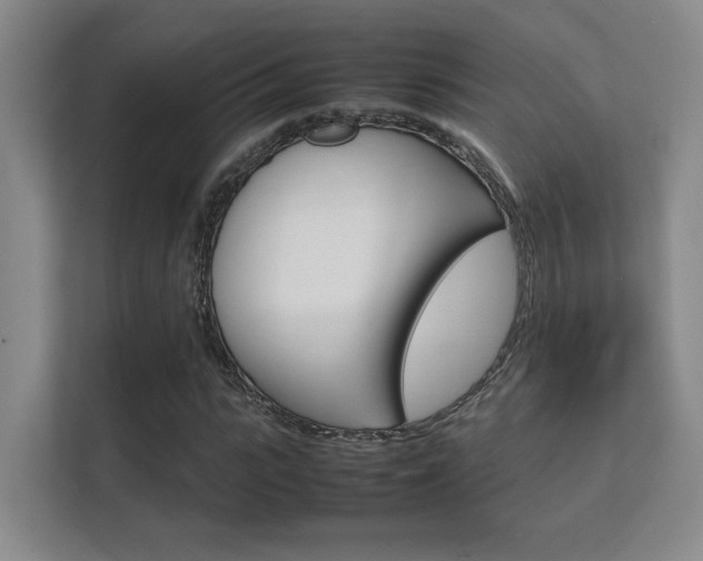 X0000112410919200908141022