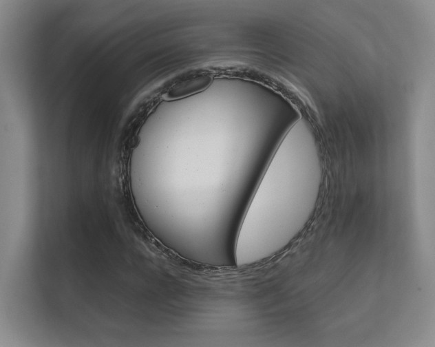 X0000112410920200908141022