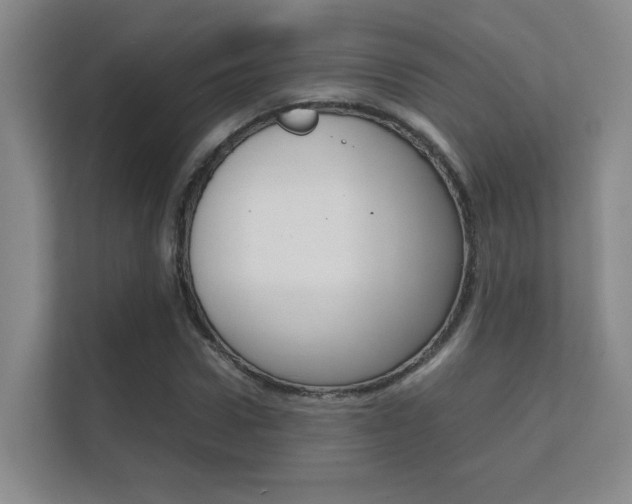 X0000112410922200908141022