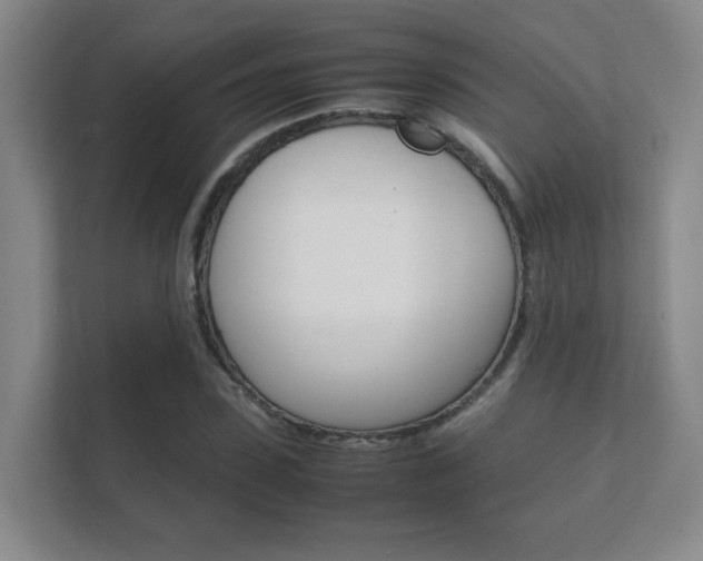 X0000112410923200908141022