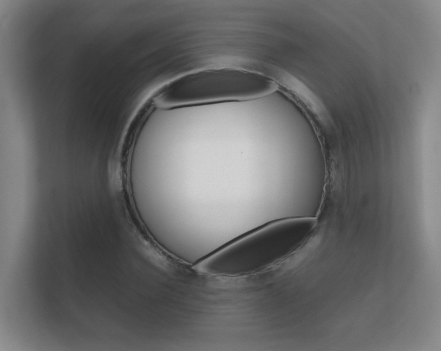 X0000112410924200908141022