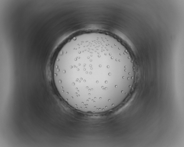 X0000112410925200908141022