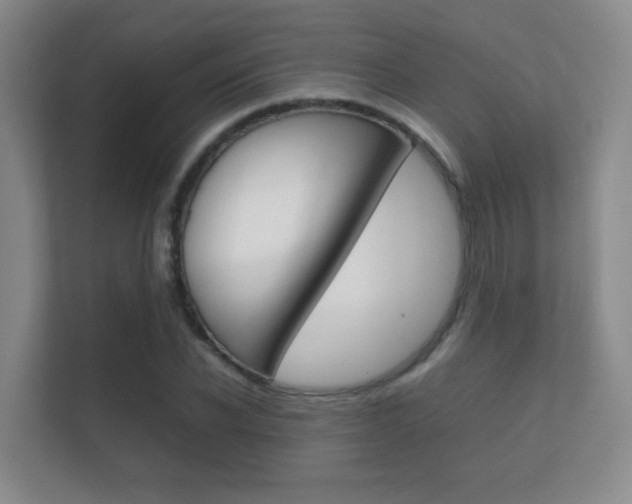 X0000112410926200908141022
