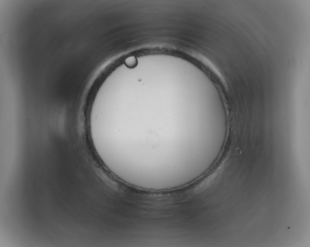 X0000112410927200908141022