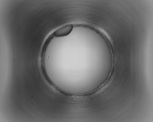 X0000112410928200908141022
