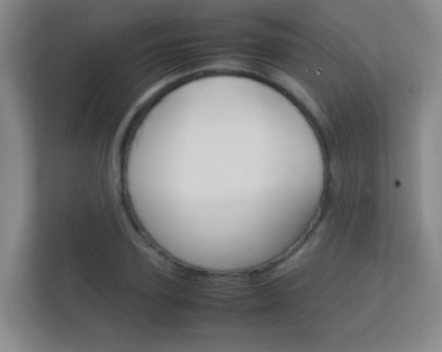 X0000112410931200908141022