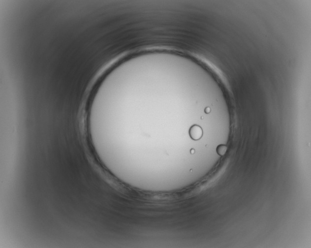 X0000112410933200908141022