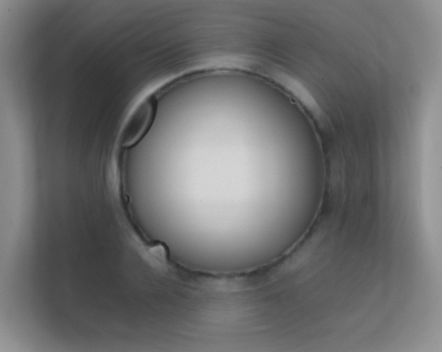 X0000112410936200908141022