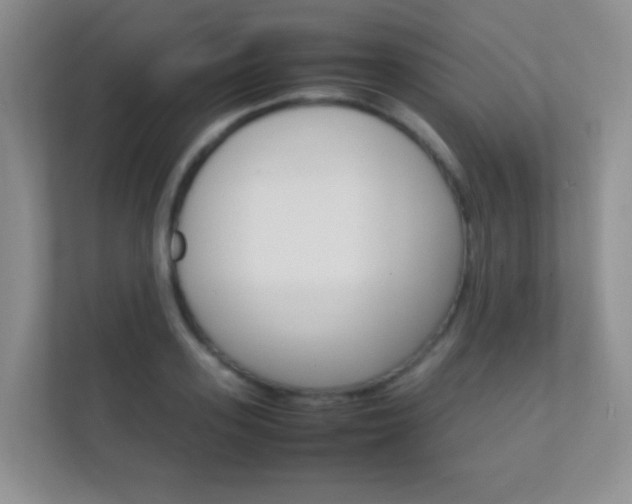 X0000112410939200908141022