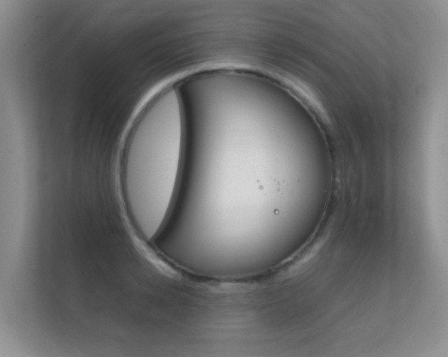 X0000112410942200908141023