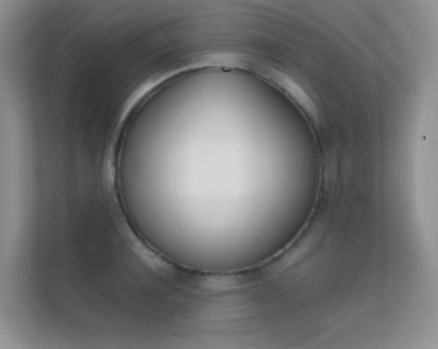 X0000112410944200908141023