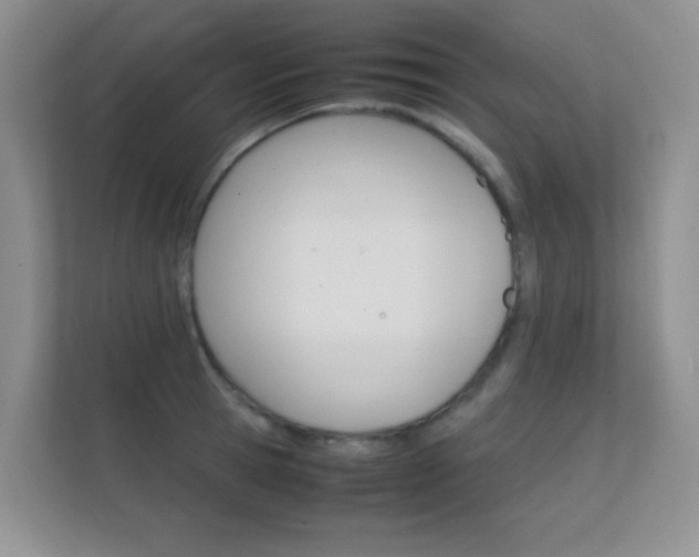 X0000112410945200908141023