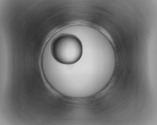 X0000112410946200908141023
