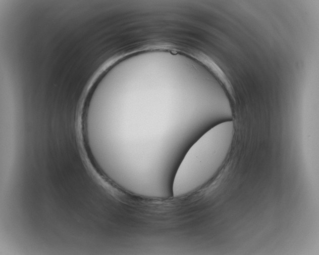 X0000112410947200908141023