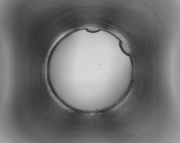 X0000112410949200908141023