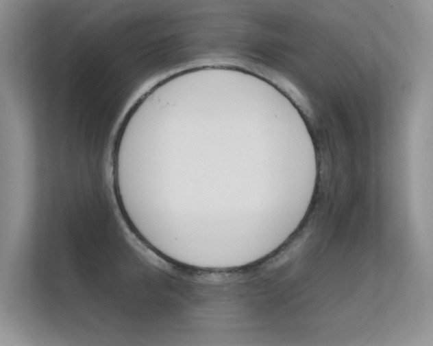 X0000112410950200908141023