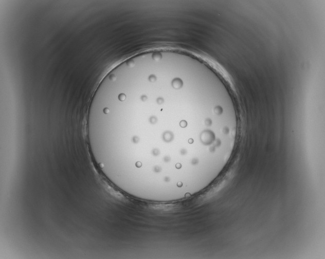X0000112410953200908141023