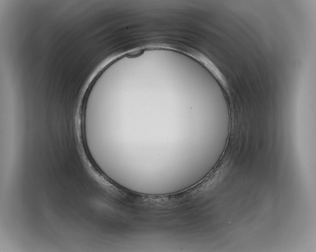 X0000112410955200908141023