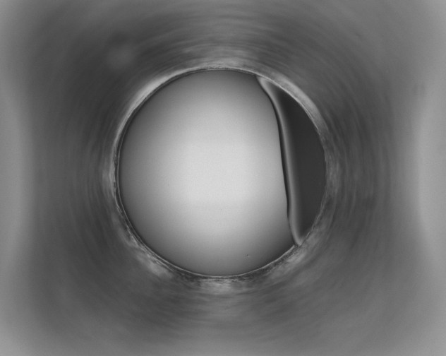 X0000112410956200908141023