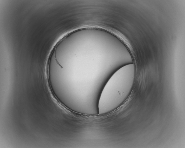 X0000112410958200908141023