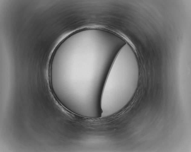 X0000112410959200908141023