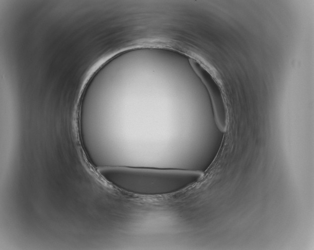 X0000112410960200908141023