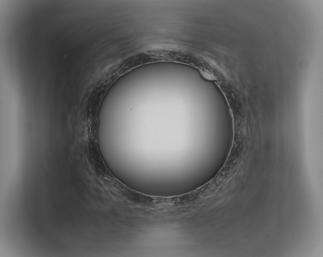 X0000112410965200908141022