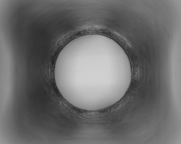 X0000112410966200908141022