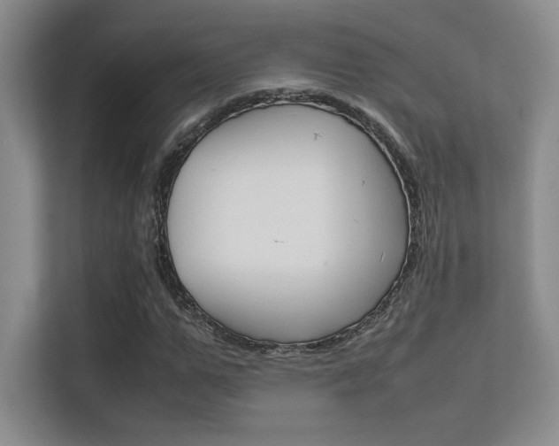 X0000112410967200908141022