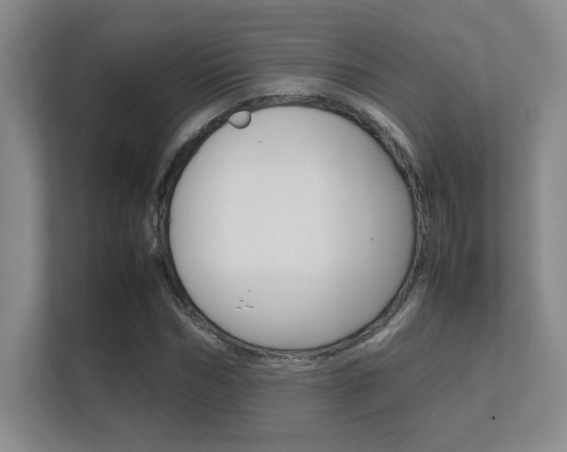 X0000112410970200908141022