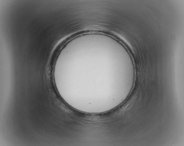 X0000112410971200908141022