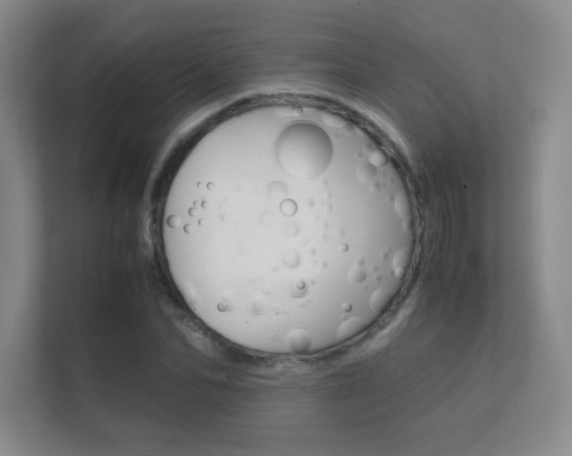 X0000112410974200908141022