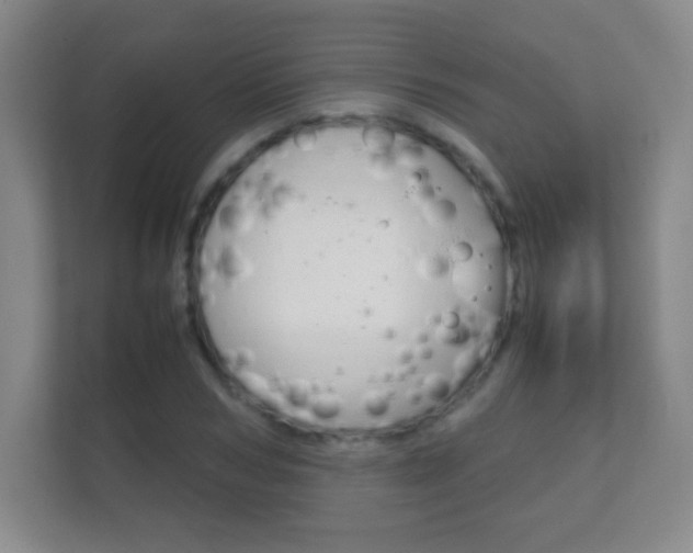 X0000112410978200908141022