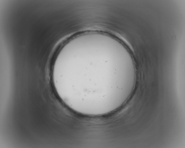 X0000112410979200908141022