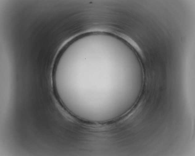 X0000112410980200908141022