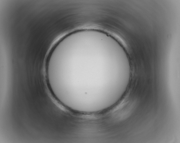 X0000112410990200908141022