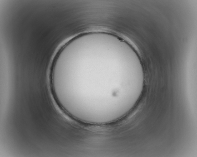 X0000112410995200908141022