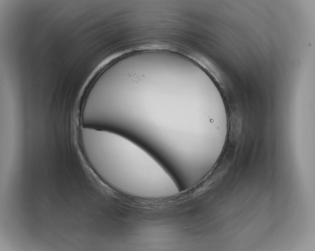 X0000112411000200908141021