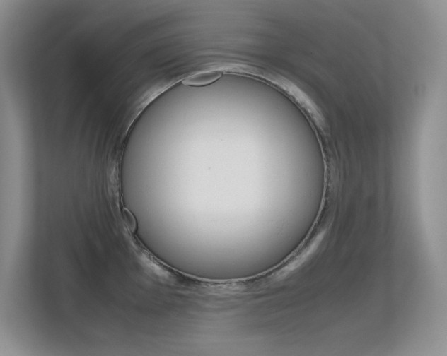 X0000112411001200908141021