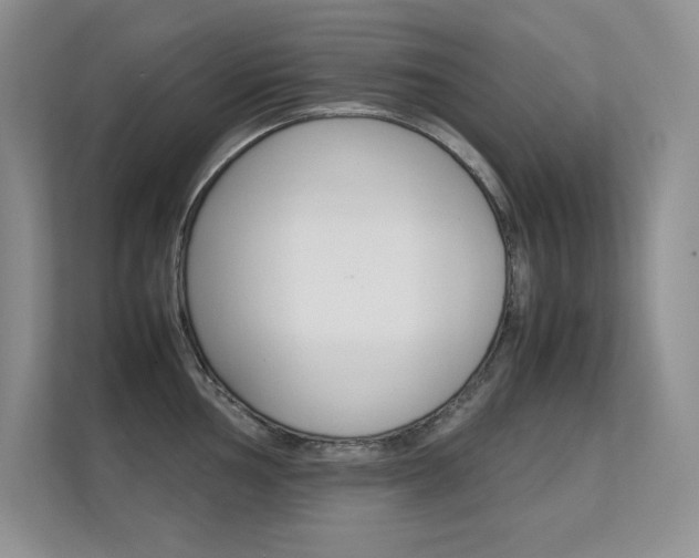 X0000112411002200908141021