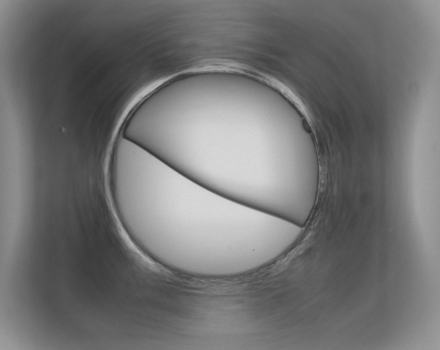 X0000112411003200908141021