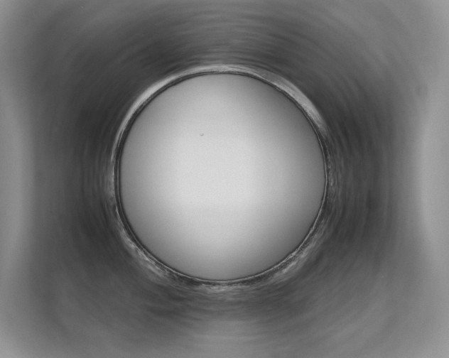 X0000112411004200908141021