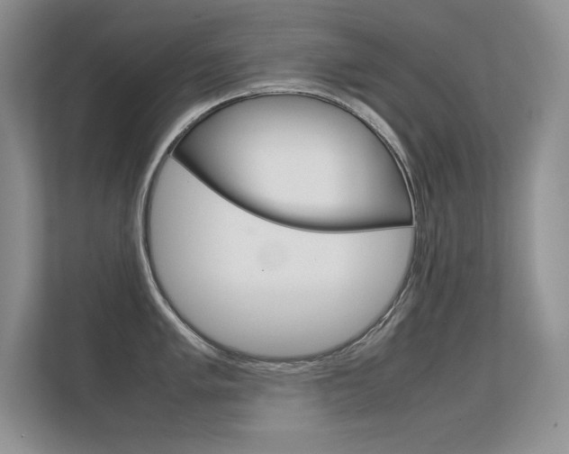 X0000112411005200908141021