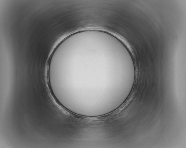X0000112411006200908141021