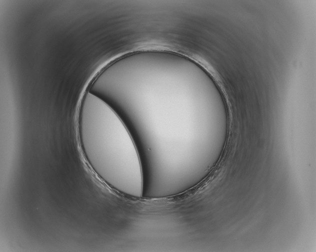 X0000112411008200908141021