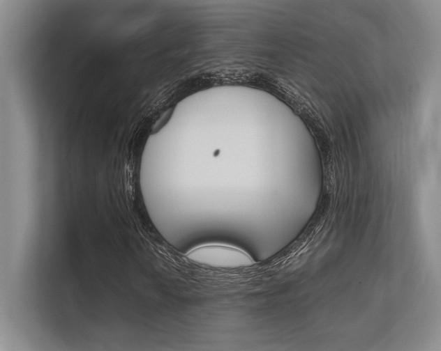 X0000112411010200908141021